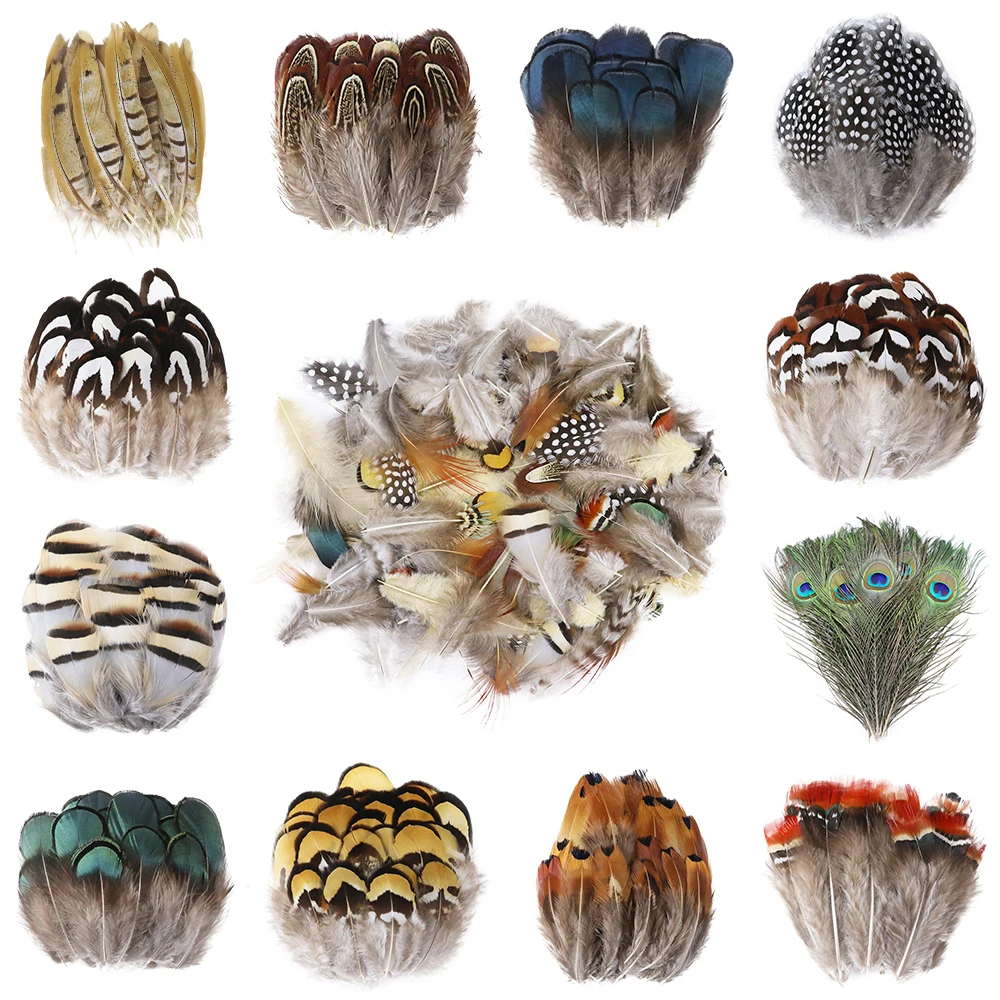Wholesale Natural Pheasant Peacock Feathers for Crafts Plumes Decoration DIY Jewelry Handicraft Fly Tying Material
Wholesale Natural Pheasant Peacock Feathers for Crafts Plumes Decoration DIY Jewelry Handicraft Fly Tying Material