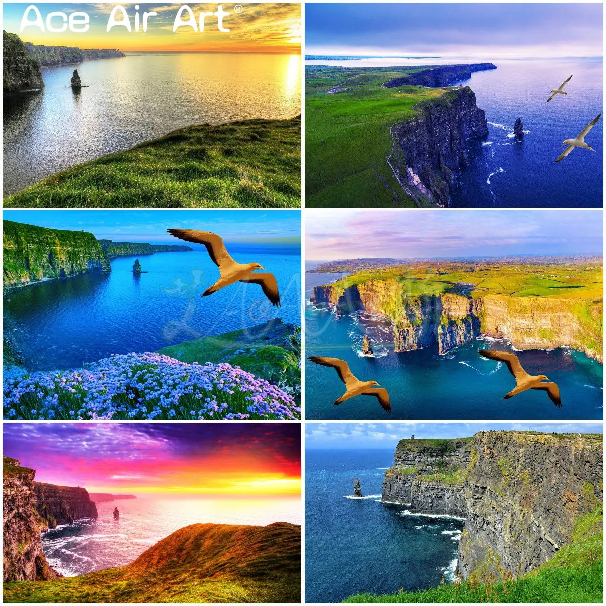 

Северный ганьет, летающий над Атлантическим океаном, фотообои, скалы мохера, ирландский ландшафт для планировки