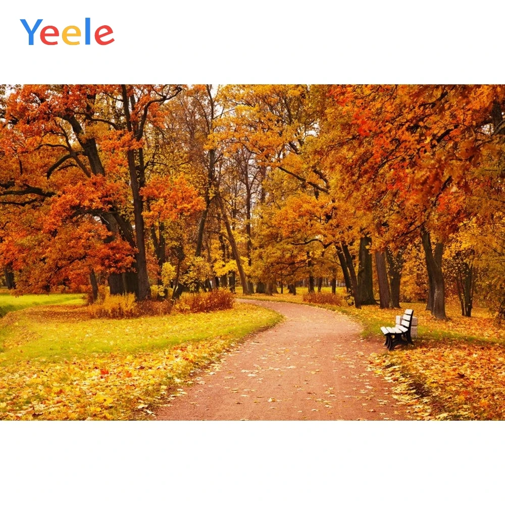 Yeele Autumn Backdrop Forest Yellow Tree Leaves Natural Scenery Newborn Baby Photography Background Custom For Photo Studio
Yeele Autumn Backdrop Forest Yellow Tree Leaves Natural Scenery Newborn Baby Photography Background Custom For Photo Studio