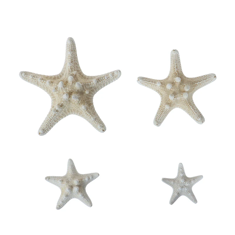1Pc White Starfish Crafts Decoration Finger Starfish DIY Wedding Decoration Shell Sea Fish Party Beige Starfish Crafts Hot New
1Pc White Starfish Crafts Decoration Finger Starfish DIY Wedding Decoration Shell Sea Fish Party Beige Starfish Crafts Hot New