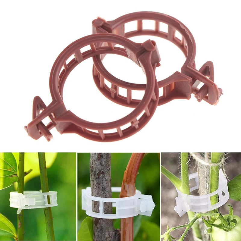 100 Plastic Plant Support Clips Gardening Clips Tomato Vine Holders Practical Flower Clips Garden Clips Plant Clips
100 Plastic Plant Support Clips Gardening Clips Tomato Vine Holders Practical Flower Clips Garden Clips Plant Clips