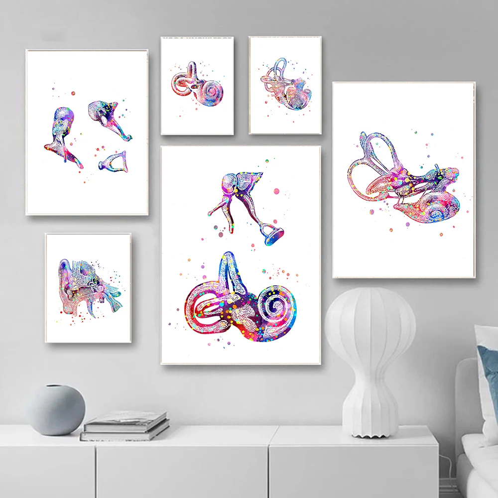 Modern Decoration Canvas Painting Anatomy Art Medical Inner Ear Cochea Poster Print Student Education Hearing Hospital Pictures
Modern Decoration Canvas Painting Anatomy Art Medical Inner Ear Cochea Poster Print Student Education Hearing Hospital Pictures