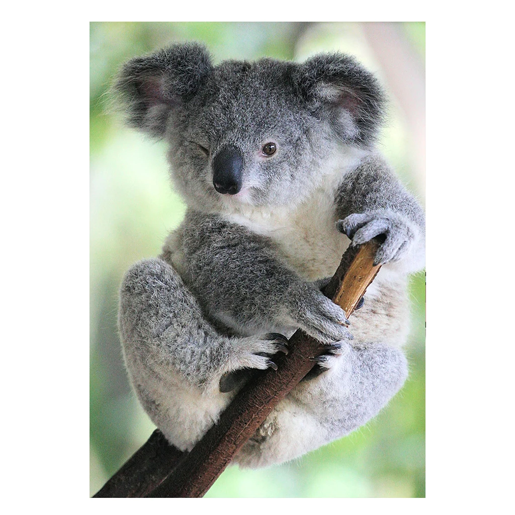 Round Diamond Painting 5D DIY Animal Koala Diamond Embroidery Cross Stitch Kit Handmade Gift Home Decoration
Round Diamond Painting 5D DIY Animal Koala Diamond Embroidery Cross Stitch Kit Handmade Gift Home Decoration