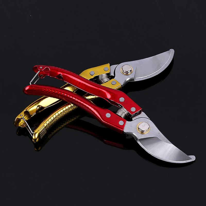 8 Inch Labor-saving Pruning Shears Garden Tools Labor-saving Manual Garden Shears Household Fruit Branch Shears Branch Scissors
8 Inch Labor-saving Pruning Shears Garden Tools Labor-saving Manual Garden Shears Household Fruit Branch Shears Branch Scissors