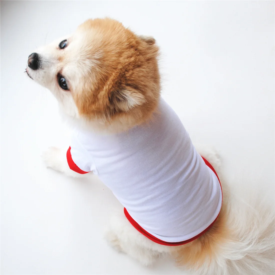 Dog Vests T-Shirt Pet Dog Clothing Spring and Summer Vest with Sleeves and Breathable Cotton Dog Clothes for Small Dogs Girl
Dog Vests T-Shirt Pet Dog Clothing Spring and Summer Vest with Sleeves and Breathable Cotton Dog Clothes for Small Dogs Girl