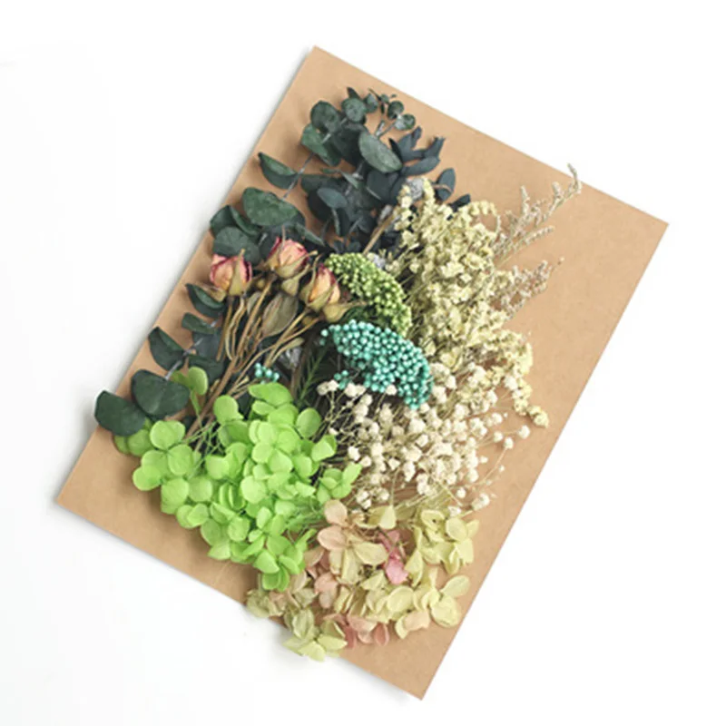 1 Bag Real Dried Flower Dry Plants For Aromatherapy Candle Epoxy Resin Pendant Necklace Jewelry Making Craft DIY Accessories
1 Bag Real Dried Flower Dry Plants For Aromatherapy Candle Epoxy Resin Pendant Necklace Jewelry Making Craft DIY Accessories