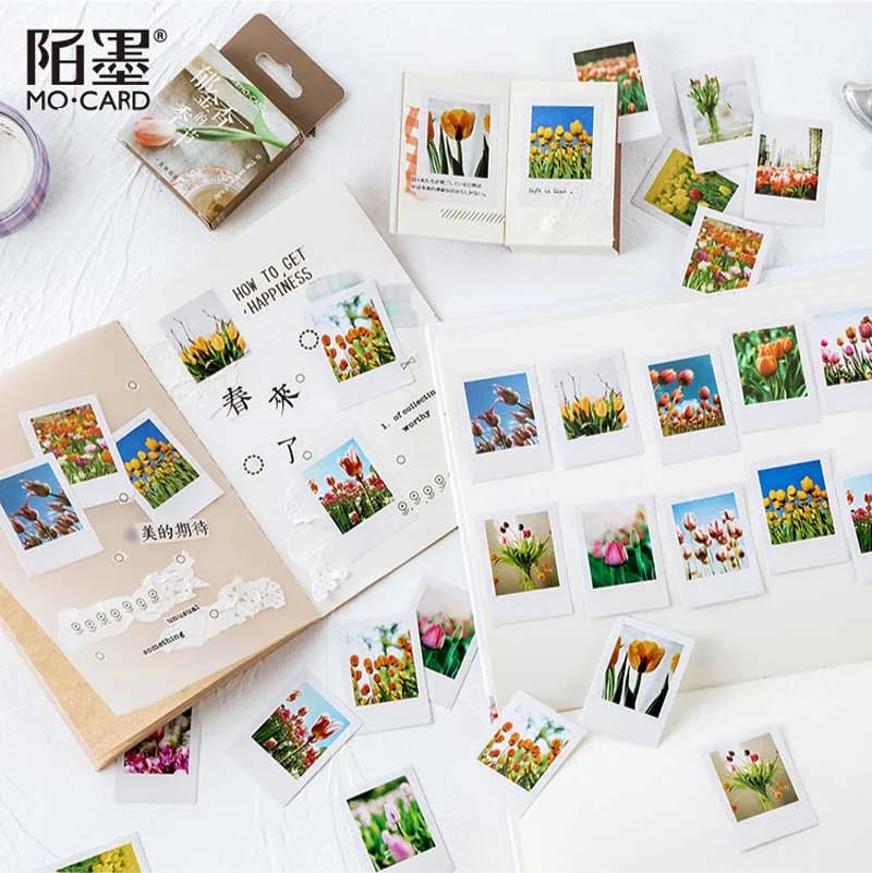 46Pcs/set Lovely Tulip Scrapbooking Diy Stickers Pack Decorative Flowers Collection Diary Journal Washi Paper Sticker Supplies
46Pcs/set Lovely Tulip Scrapbooking Diy Stickers Pack Decorative Flowers Collection Diary Journal Washi Paper Sticker Supplies