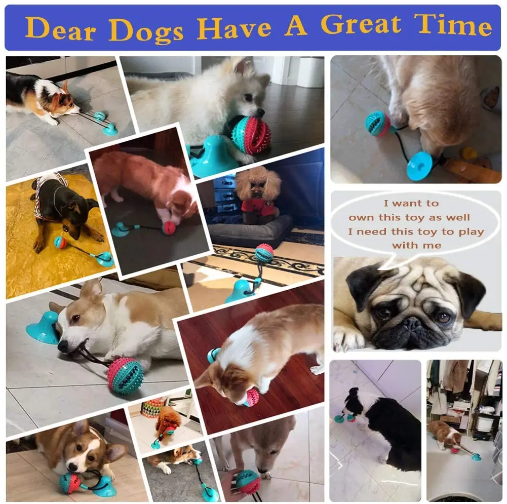 Pet Dog Toys Silicon Suction Cup Tug dog toy Dogs Push Ball Toy Pet Tooth Cleaning Dog Toothbrush for Puppy large Dog Biting Toy
Pet Dog Toys Silicon Suction Cup Tug dog toy Dogs Push Ball Toy Pet Tooth Cleaning Dog Toothbrush for Puppy large Dog Biting Toy