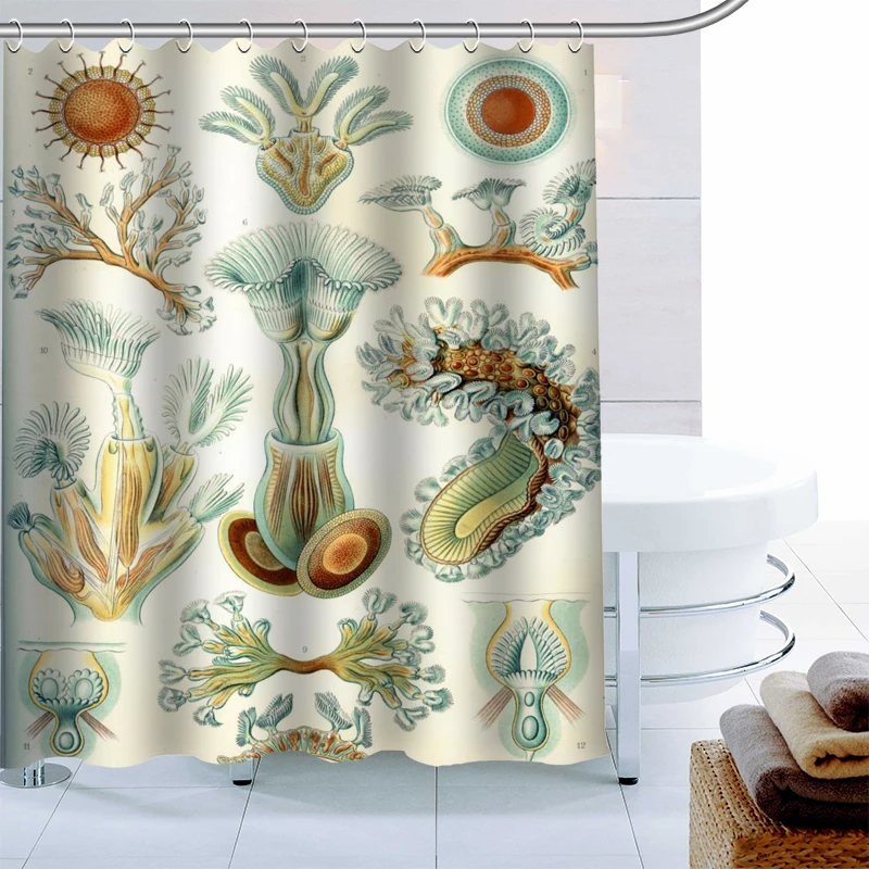 ShunQian Haeckel Acephala Shower Curtain Polyester Fabric Bath Screens Curtains For Bathroom 3D Waterproof Bath Curtain Hook
ShunQian Haeckel Acephala Shower Curtain Polyester Fabric Bath Screens Curtains For Bathroom 3D Waterproof Bath Curtain Hook