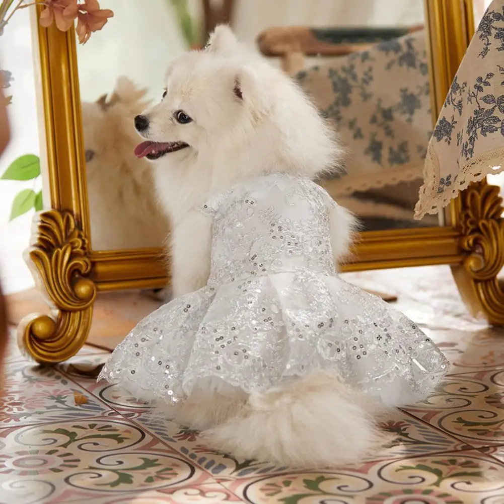 Отличная юбка для питомца, привлекательное моющееся платье для собаки, кружевное свадебное платье для собаки, одежда для фотосъемки
Отличная юбка для питомца, привлекательное моющееся платье для собаки, кружевное свадебное платье для собаки, одежда для фотосъемки