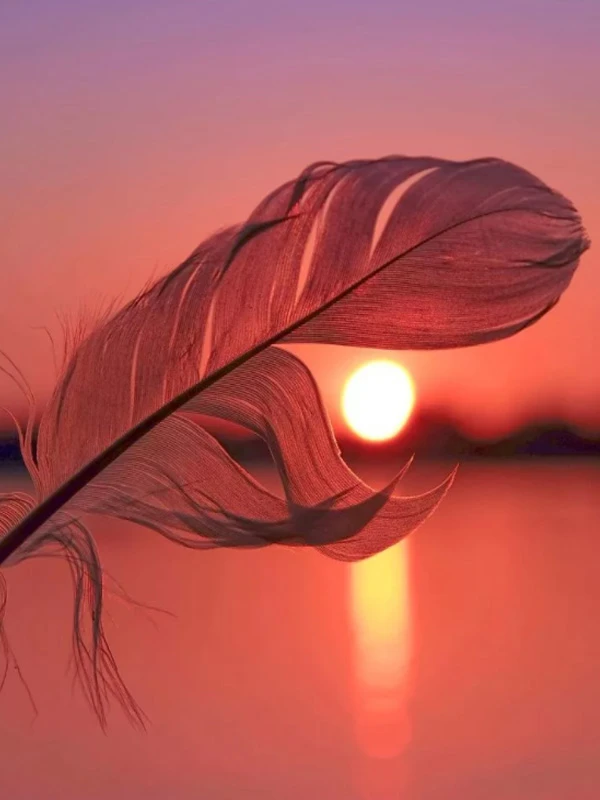 Diamond Painting Landscape Sunset Feather Square Diamond Round Diamond Decoration Customizable Wall Art Decoration Frameless 
Diamond Painting Landscape Sunset Feather Square Diamond Round Diamond Decoration Customizable Wall Art Decoration Frameless