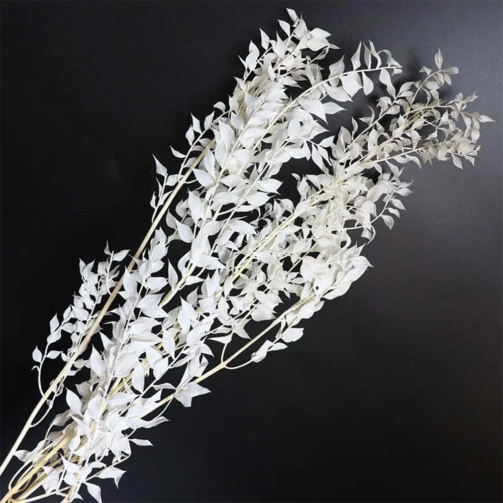 1PC 55CM Decorative Dried Flowers Preserved Ruscus Leaves Bouquet Lucky Bamboo DIY Floral Decoration For Home Wedding Decor A3A3
1PC 55CM Decorative Dried Flowers Preserved Ruscus Leaves Bouquet Lucky Bamboo DIY Floral Decoration For Home Wedding Decor A3A3