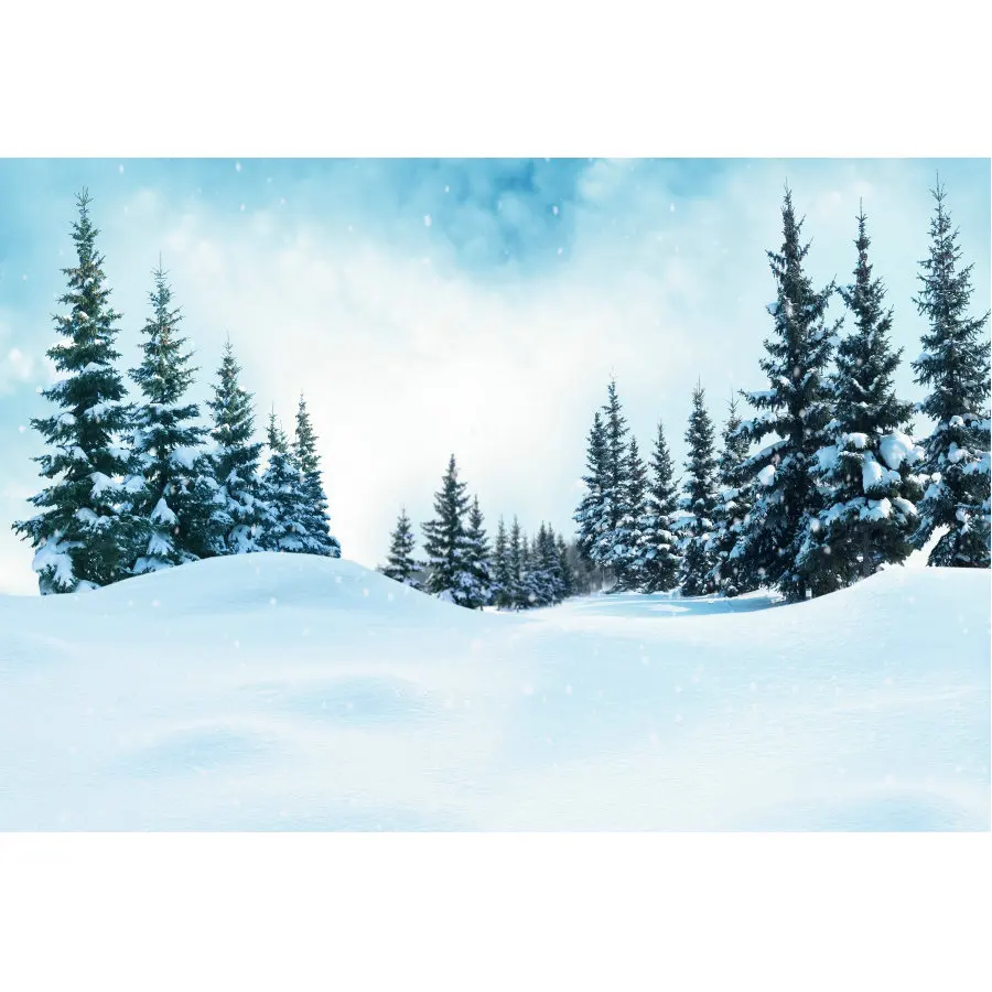 Christmas Decor Backdrop Pine Forest in Winter Background Newborns Photography Xmas Family Party Decoration Photo Booth
Christmas Decor Backdrop Pine Forest in Winter Background Newborns Photography Xmas Family Party Decoration Photo Booth