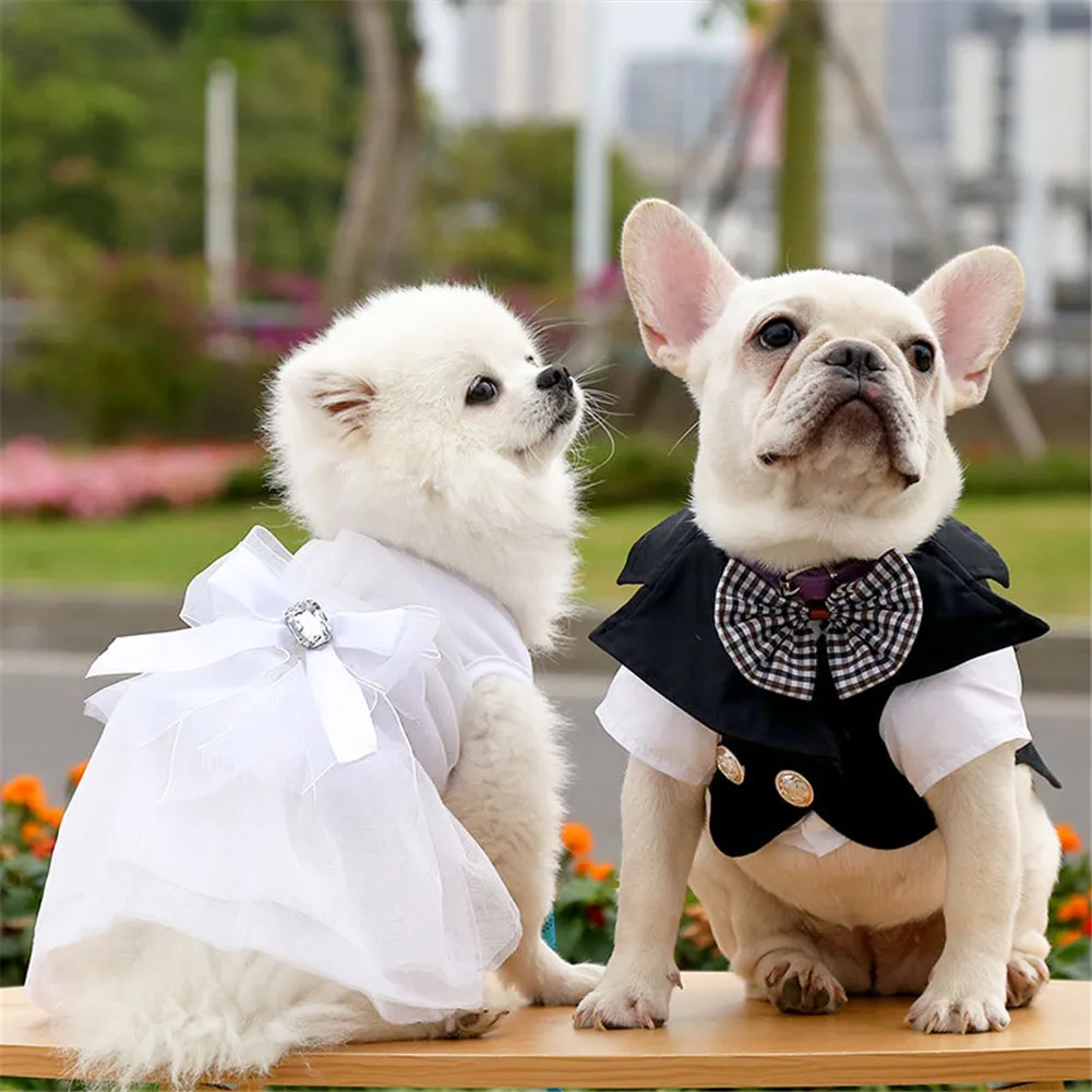 Dog Suit Groom Dress Classic Romantic Pet Cat Bow Wedding Dress Teddy Bichon Pugs Small and Medium-sized Dog Supplies
Dog Suit Groom Dress Classic Romantic Pet Cat Bow Wedding Dress Teddy Bichon Pugs Small and Medium-sized Dog Supplies