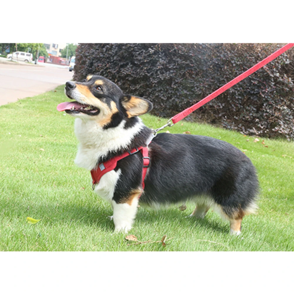 Pet Dog Vest Harness Leash Rope Set No Pull Suede Adjustable Durable Pets Chest Straps for Small Medium Dog Supplies Reflective
Pet Dog Vest Harness Leash Rope Set No Pull Suede Adjustable Durable Pets Chest Straps for Small Medium Dog Supplies Reflective