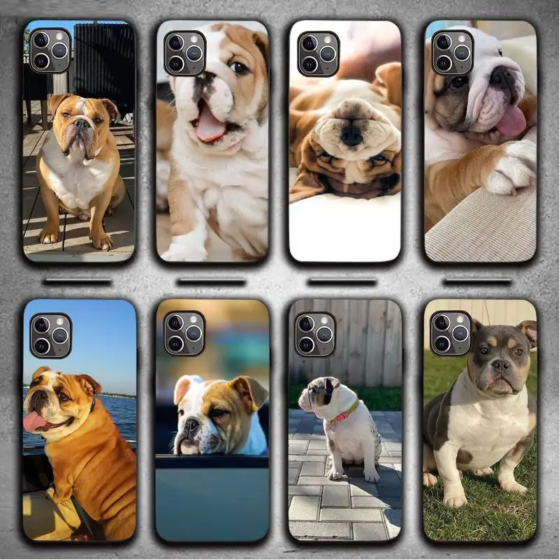Dog French Bulldog Phone Case for iPhone 13 11 12 Pro X XS XR Samsung A S 10 20 30 51 Plus pro Max mobile bags soft coque shell
Dog French Bulldog Phone Case for iPhone 13 11 12 Pro X XS XR Samsung A S 10 20 30 51 Plus pro Max mobile bags soft coque shell