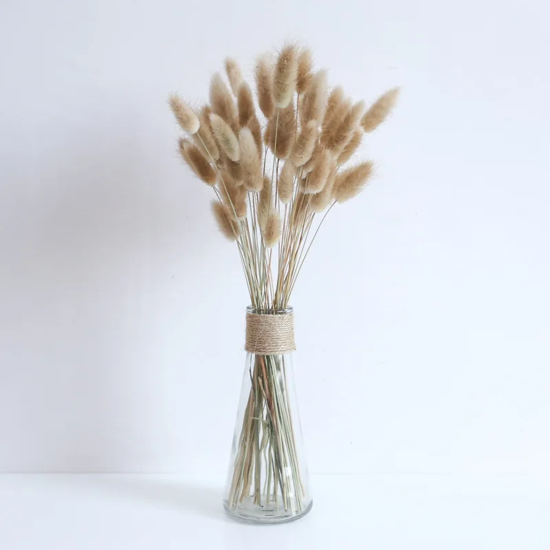 Setaria Dried Flowers Living Room Decorations Autumn Sunflower Rose Dried Flowers Home Decoration Diy Accessories Crafts
Setaria Dried Flowers Living Room Decorations Autumn Sunflower Rose Dried Flowers Home Decoration Diy Accessories Crafts