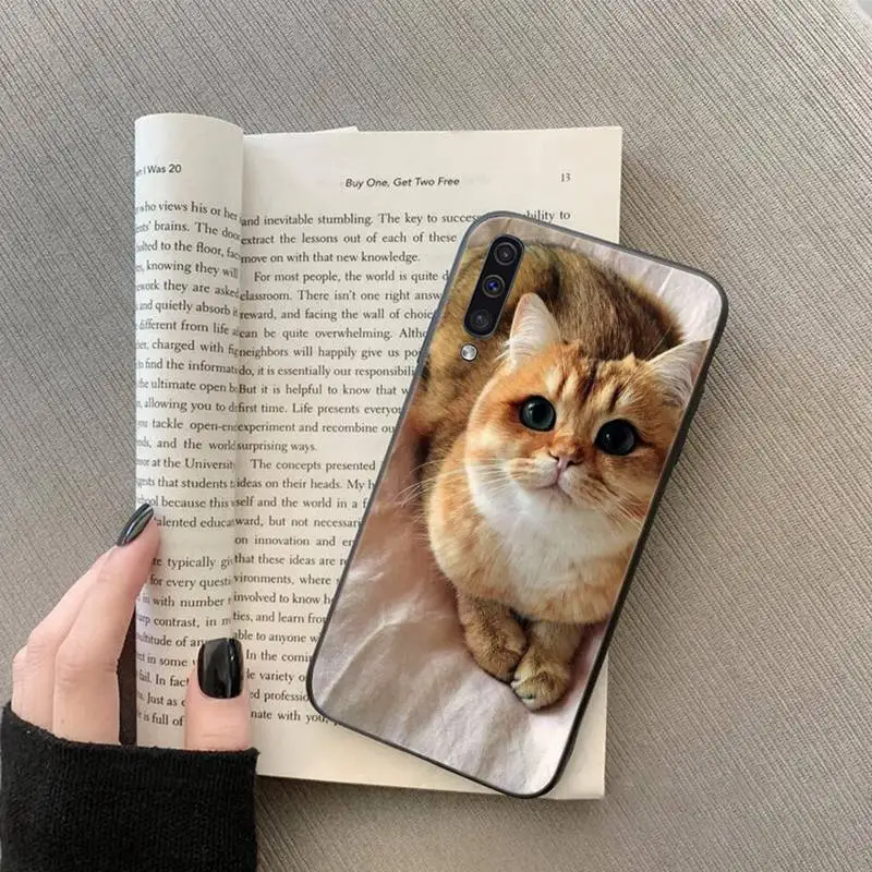 Webbedepp British Shorthair cat Phone Case For Samsung galaxy S A note 6 7 8 9 10 20 31 40 50 51 71 edge plus 5G
Webbedepp British Shorthair cat Phone Case For Samsung galaxy S A note 6 7 8 9 10 20 31 40 50 51 71 edge plus 5G
