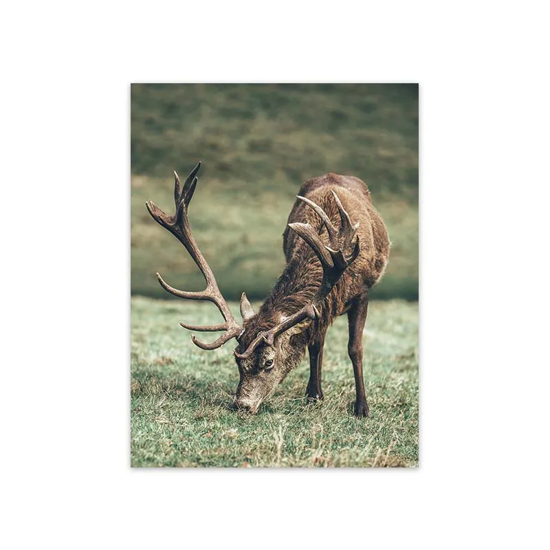 Nordic Deer Wood Annual Ring Wall Art Poster Green Plant Leaves Canvas Painting Modern Minimalist Living Room Home Decoration
Nordic Deer Wood Annual Ring Wall Art Poster Green Plant Leaves Canvas Painting Modern Minimalist Living Room Home Decoration