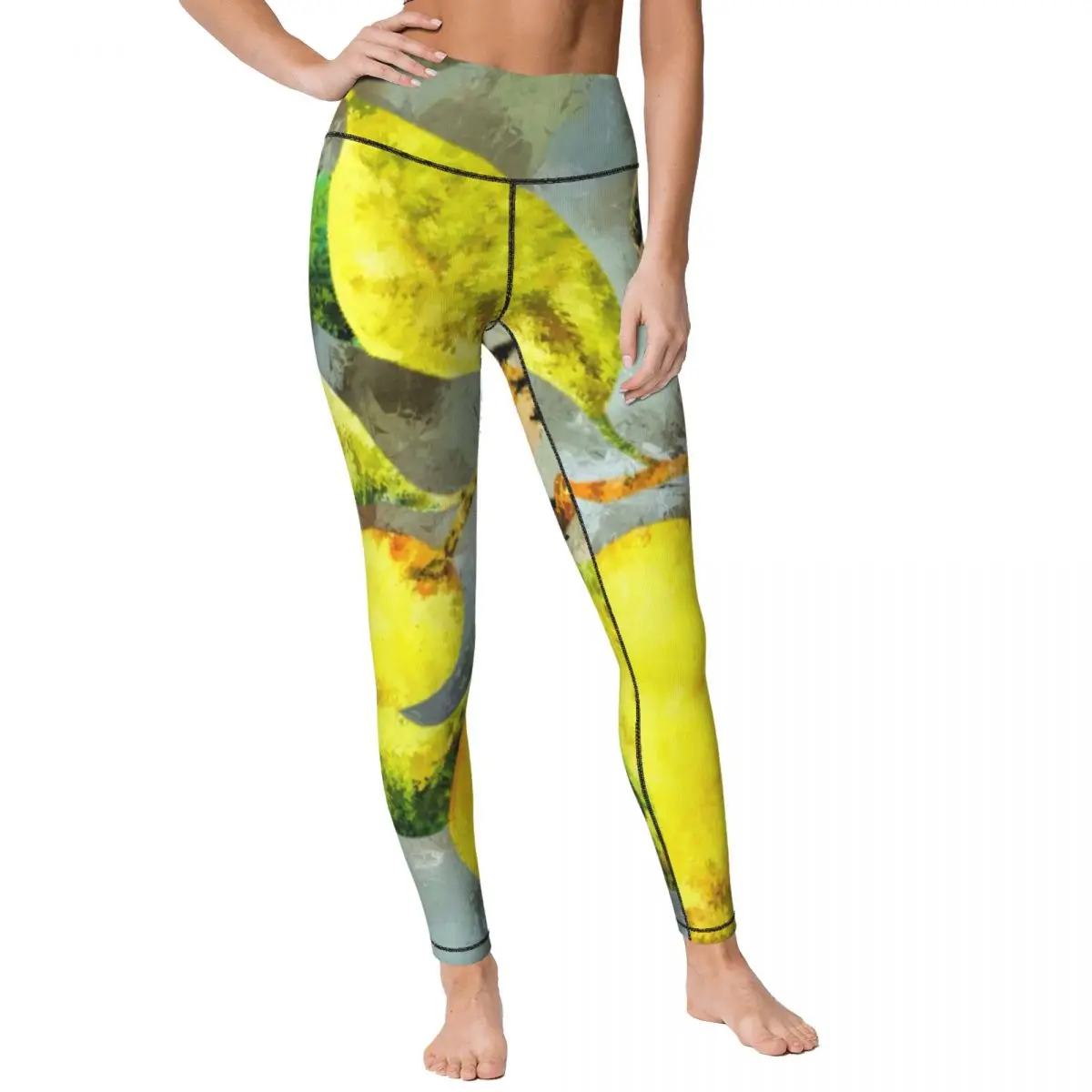 Женские Леггинсы для йоги с рисунком 245792928, мягкие женские леггинсы для тренировок, брюки для спортзала, фитнеса
Женские Леггинсы для йоги с рисунком 245792928, мягкие женские леггинсы для тренировок, брюки для спортзала, фитнеса