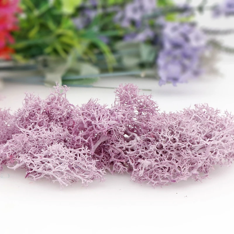 20g Artificial Moss Micro Landscape Garden Decoration Embellishment DIY Craft Accessories Immortal Moss Green Plants Antler Moss
20g Artificial Moss Micro Landscape Garden Decoration Embellishment DIY Craft Accessories Immortal Moss Green Plants Antler Moss