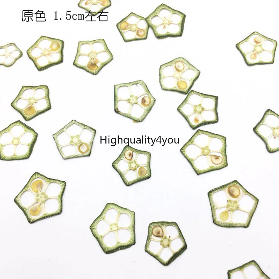 30pcs Dried Pressed Vegetable OKra Slices Plant Herbarium For Exopy Jewelry Photo Frame Phone Case Bookmark Postcard Making
30pcs Dried Pressed Vegetable OKra Slices Plant Herbarium For Exopy Jewelry Photo Frame Phone Case Bookmark Postcard Making