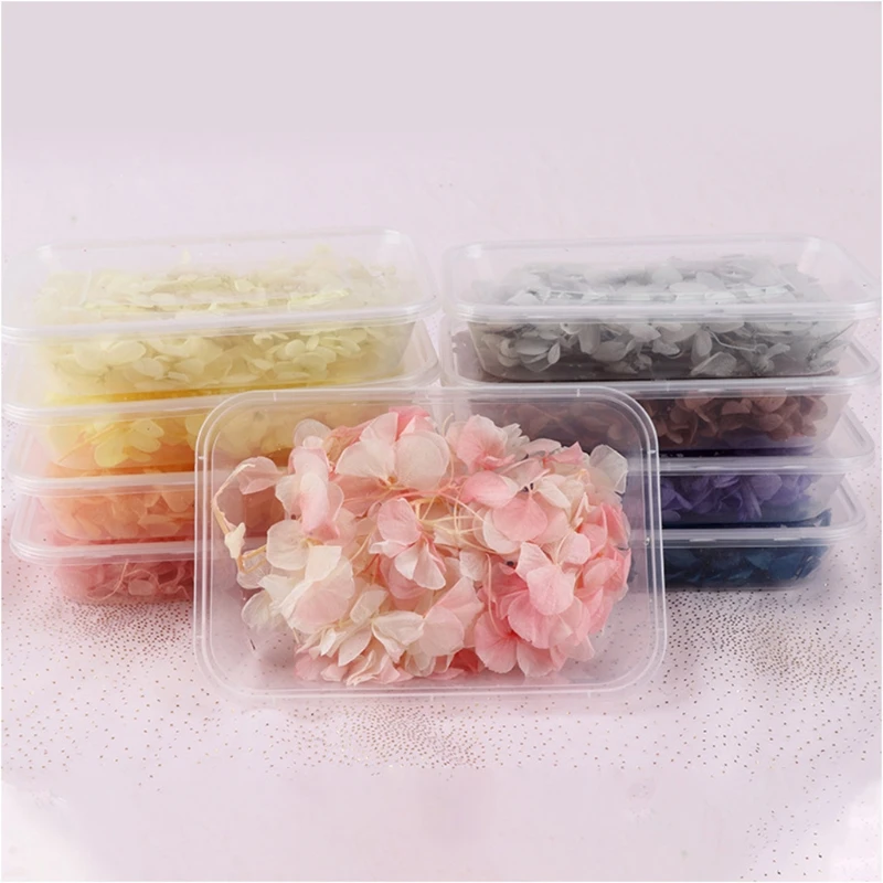 1 Box Dried Flowers UV Resin Decorative Natural Stickers 3D Dry Beauty Epoxy Mold DIY Filling Making Craft Jewelry Accessories
1 Box Dried Flowers UV Resin Decorative Natural Stickers 3D Dry Beauty Epoxy Mold DIY Filling Making Craft Jewelry Accessories