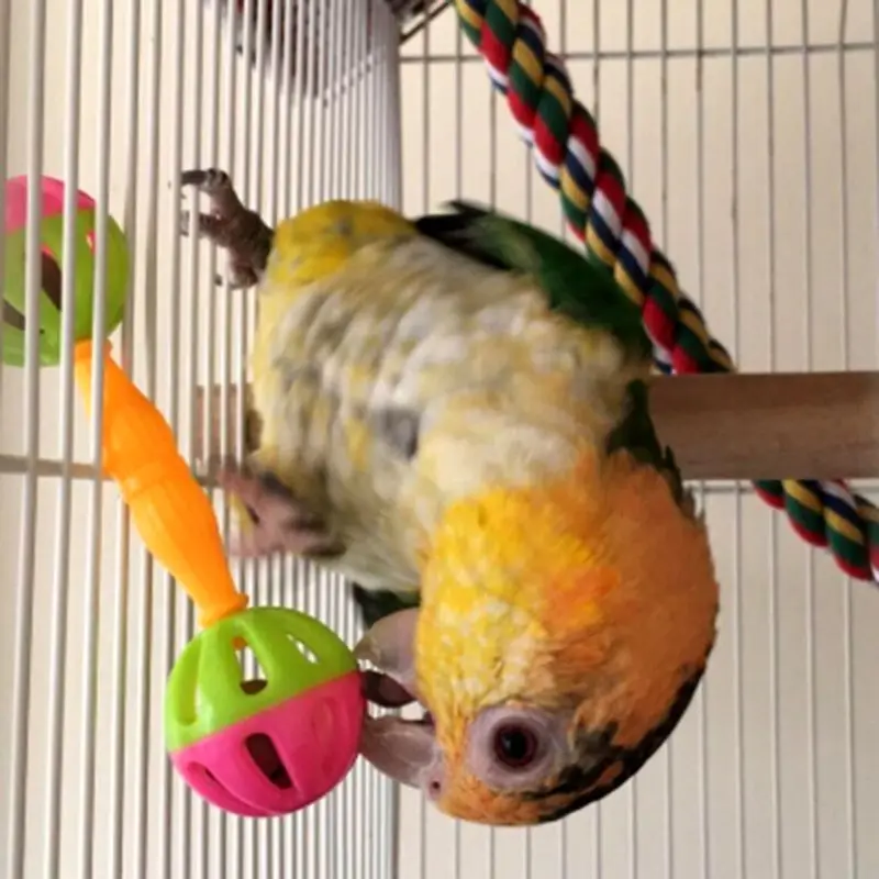 2 Pcs Bird Parrot Toy Rattle Birds Fun Exercise Plastic Double-headed Bell Pet Toys Q1QC
2 Pcs Bird Parrot Toy Rattle Birds Fun Exercise Plastic Double-headed Bell Pet Toys Q1QC