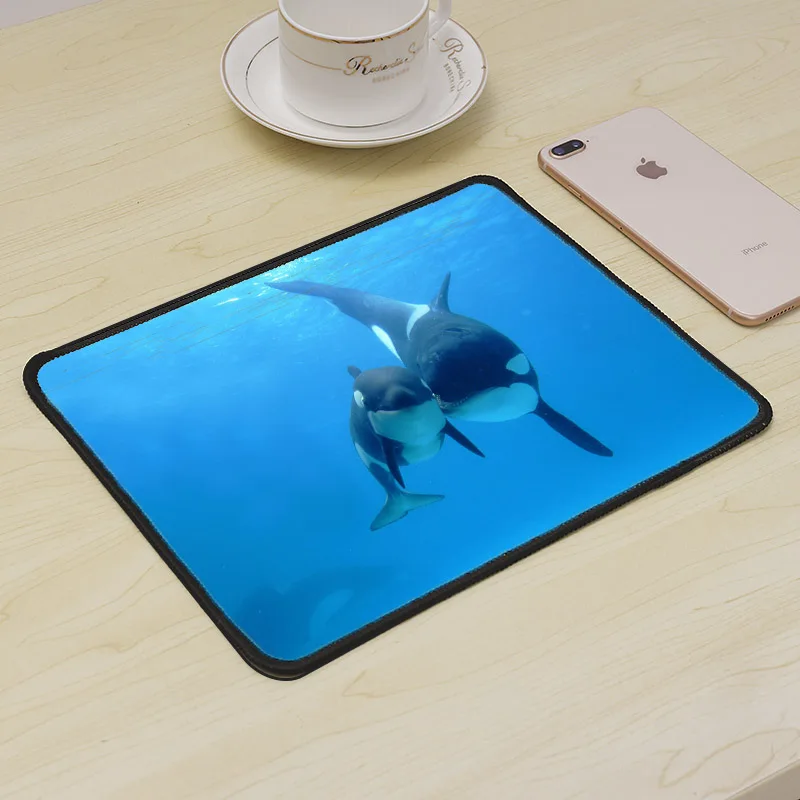 MRGLZY Small Mouse Pad Computer Game Console Mouse Pad Table Mat Computer Keyboard Game Game Accessories Notebook Whale
MRGLZY Small Mouse Pad Computer Game Console Mouse Pad Table Mat Computer Keyboard Game Game Accessories Notebook Whale