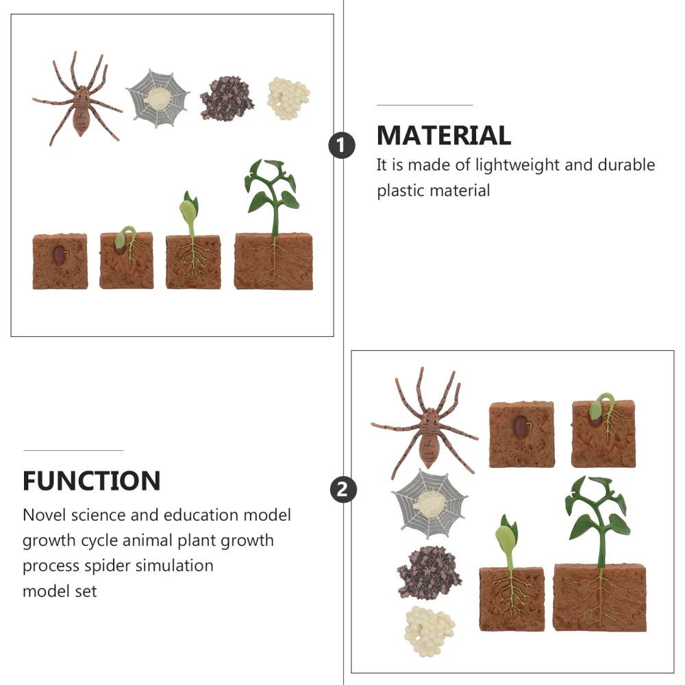 2 Sets of Animal Plant Life Cycle Model Simulation Spider Growth Model Toys
2 Sets of Animal Plant Life Cycle Model Simulation Spider Growth Model Toys