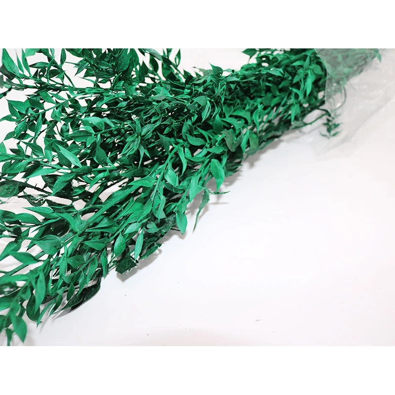 1 Bunch Fresh Cut Natural Dried Flower Bouquet Newyear Wedding Home Decoration High Quality Preserved Ruscus Rich Noble Leaves
1 Bunch Fresh Cut Natural Dried Flower Bouquet Newyear Wedding Home Decoration High Quality Preserved Ruscus Rich Noble Leaves