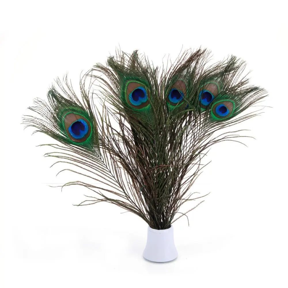 Feather Decor Wedding Accessories Decoration 50 Pcs/Lot Natural Real Peacock Feathers for Decoration 25-80cm Home Hotel Crafts
Feather Decor Wedding Accessories Decoration 50 Pcs/Lot Natural Real Peacock Feathers for Decoration 25-80cm Home Hotel Crafts