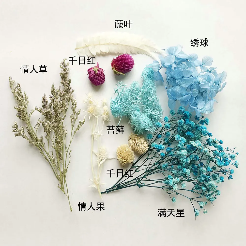1x Real Dried Flower Dry Plants DIY Aromatherapy Candle Epoxy Resin Pendant Necklace Jewelry Making Variety of Options
1x Real Dried Flower Dry Plants DIY Aromatherapy Candle Epoxy Resin Pendant Necklace Jewelry Making Variety of Options