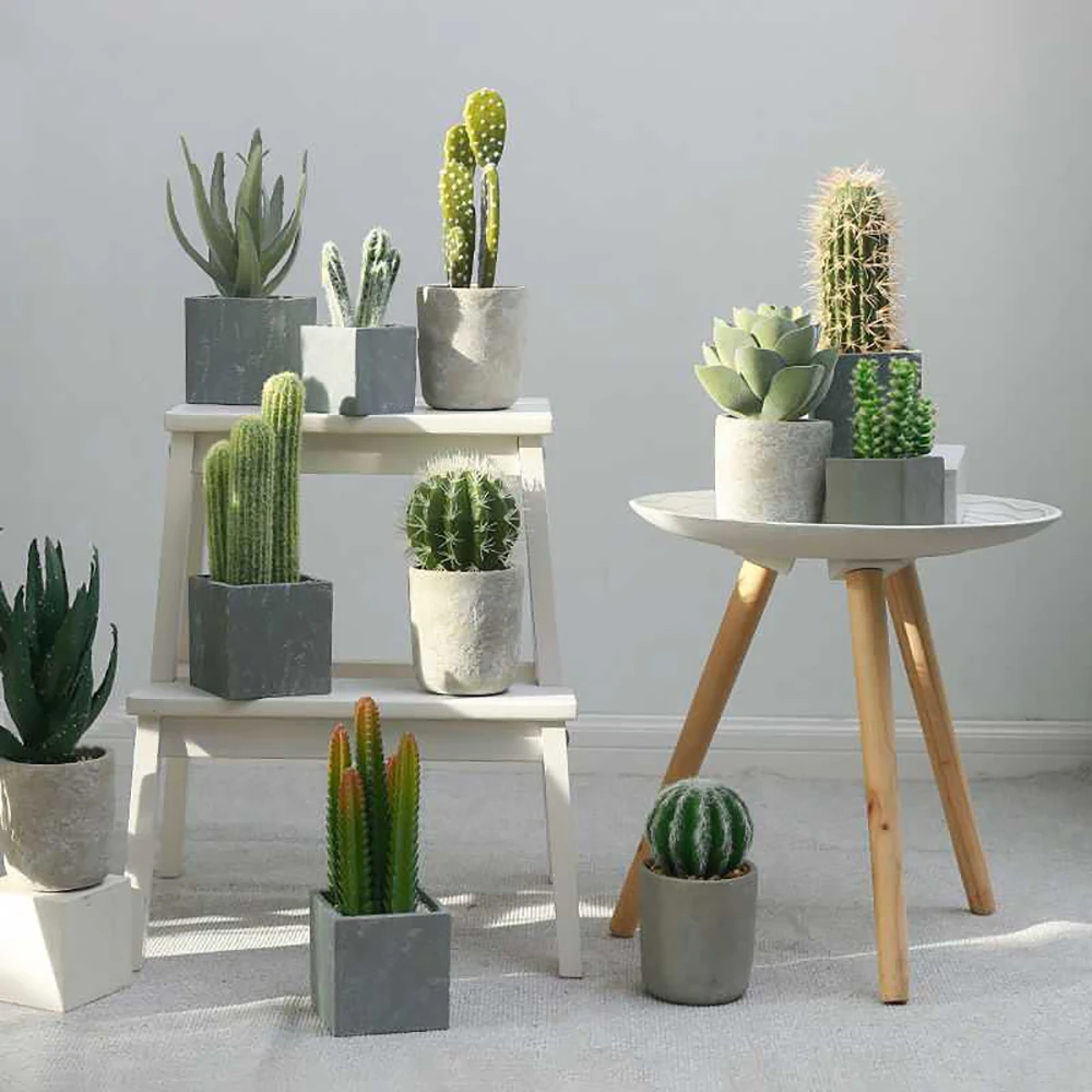 Cactus Artificial Plants House Decoration High Quality Succulent Plant Faux Aloe Fake Bonsai Home Room Desk Decor Fake Greenery
Cactus Artificial Plants House Decoration High Quality Succulent Plant Faux Aloe Fake Bonsai Home Room Desk Decor Fake Greenery