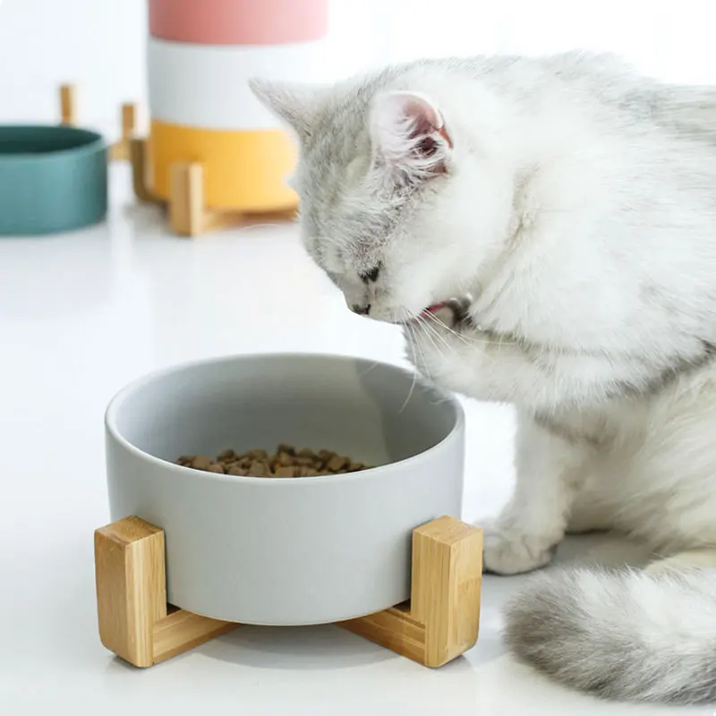 Ceramic Cat Bowl Puppy Food Bowl With Non-Slip Wood Stand Washable Pet Food Water Feeder For Cats Small Dogs Pets Bowls Supplies
Ceramic Cat Bowl Puppy Food Bowl With Non-Slip Wood Stand Washable Pet Food Water Feeder For Cats Small Dogs Pets Bowls Supplies