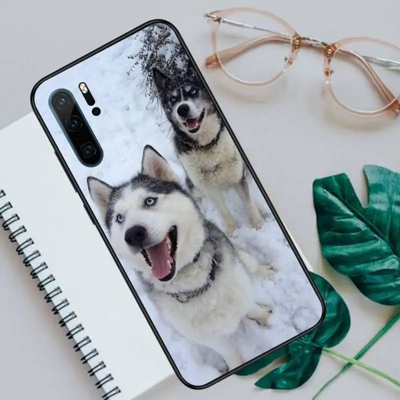 Alaskan Malamute Siberian husky dog Phone Case For Huawei P40 P20 P30 lite Pro P Smart 2019 Mate 40 20 10 Lite Pro Nova 5t
Alaskan Malamute Siberian husky dog Phone Case For Huawei P40 P20 P30 lite Pro P Smart 2019 Mate 40 20 10 Lite Pro Nova 5t
