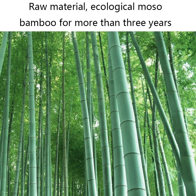 100g/1000g Activated Carbon Bamboo Toner Natural Edible Pigment Charcoal Powder Pure Plant Food Grades
100g/1000g Activated Carbon Bamboo Toner Natural Edible Pigment Charcoal Powder Pure Plant Food Grades