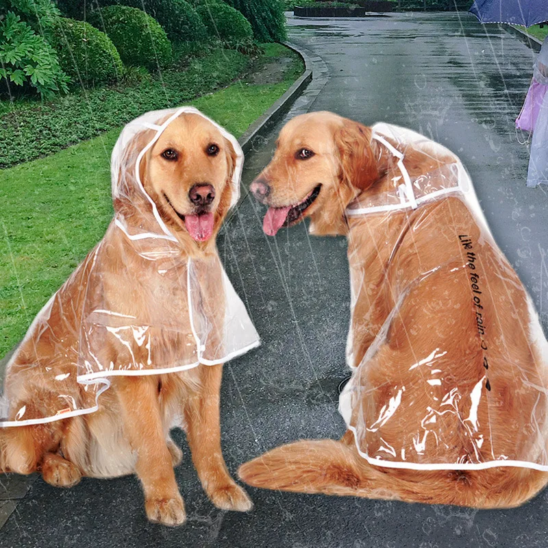 

Новый прозрачный дождевик для питомцев, непромокаемый плащ с капюшоном для щенков, четыре фута, Тедди, одежда для больших собак