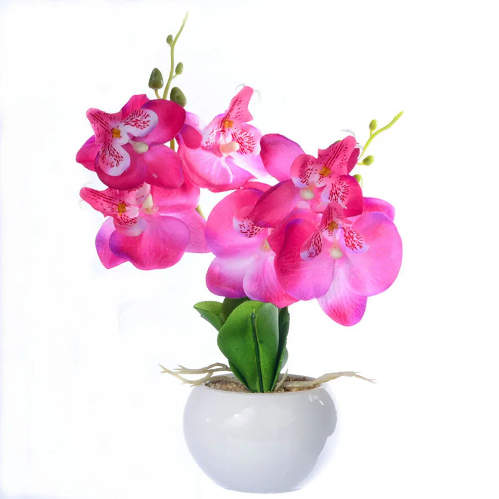 1pc Artificial Silk Flower With Ceramic Flowerpot Butterfly Orchid Silk Flower Plants In Pot Home Bedroom Office Decor
1pc Artificial Silk Flower With Ceramic Flowerpot Butterfly Orchid Silk Flower Plants In Pot Home Bedroom Office Decor
