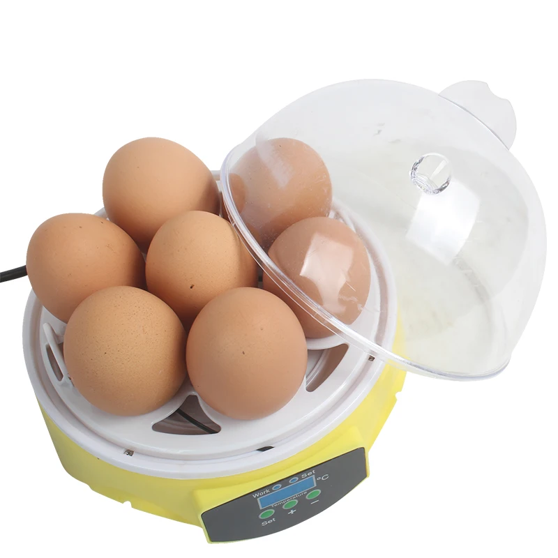 Automatic Mini Incubator Intelligent Temperature Control Incubator Automatic Egg Turning for Hatching Chicken and Duck Eggs
Automatic Mini Incubator Intelligent Temperature Control Incubator Automatic Egg Turning for Hatching Chicken and Duck Eggs