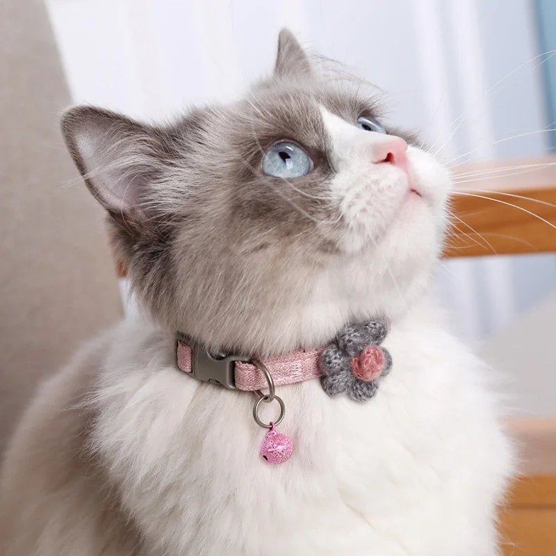 Cute Bell Collar For Cats Dog Collar Teddy Bomei Dog Cartoon Funny Flower Bow Collars Leads Cat Accessories Cat Dog Pet Supplies
Cute Bell Collar For Cats Dog Collar Teddy Bomei Dog Cartoon Funny Flower Bow Collars Leads Cat Accessories Cat Dog Pet Supplies