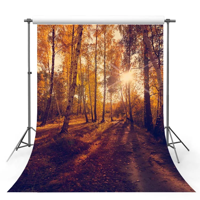 Avezano Autumn Forest Photography Background Sunshine Gold Leaves Maple Leaf Baby Portrait Backdrop Photo Studio Photocall Props
Avezano Autumn Forest Photography Background Sunshine Gold Leaves Maple Leaf Baby Portrait Backdrop Photo Studio Photocall Props