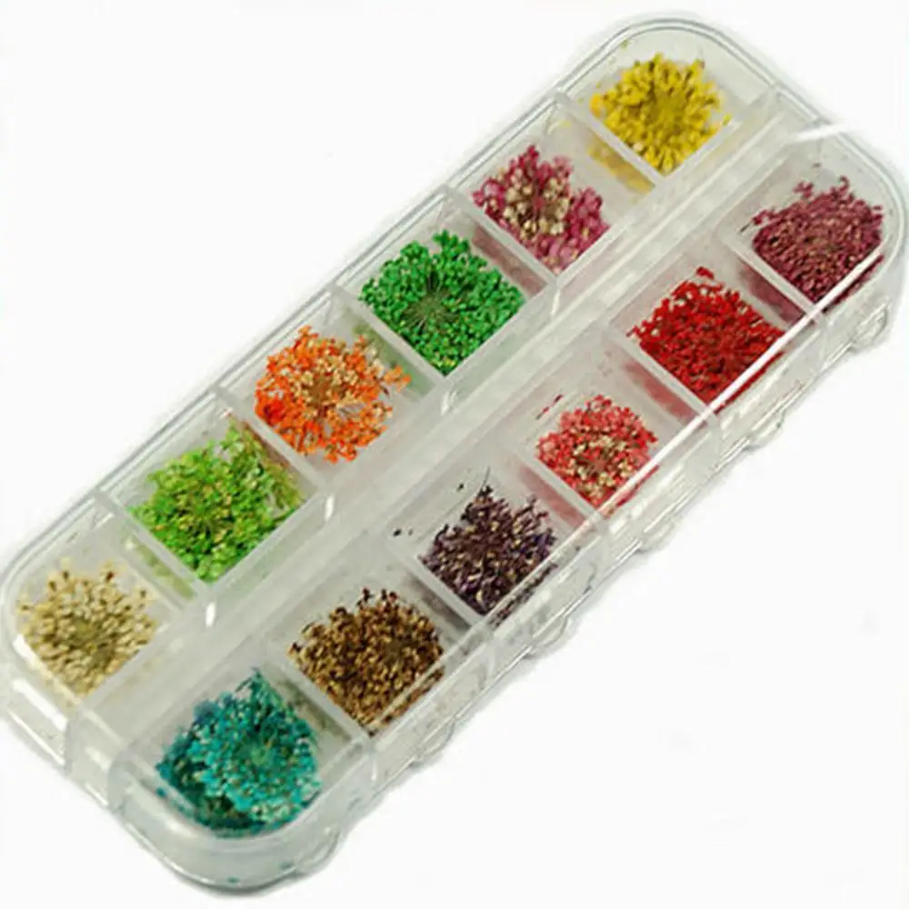 70% Hot Sale 60 Pcs Real Dried Flower Nail Art Tips Sweet DIY Decoration Stickers 1 Box 
70% Hot Sale 60 Pcs Real Dried Flower Nail Art Tips Sweet DIY Decoration Stickers 1 Box