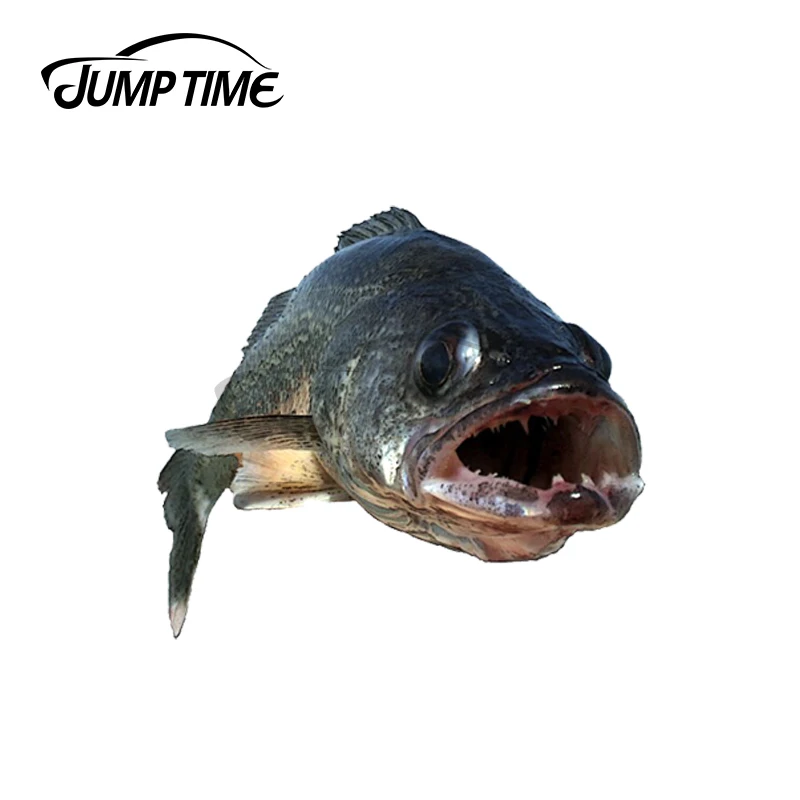 JumpTime 13x4,8 см для Walleye автомобильные аксессуары стикер s бампер наклейка граффити наклейка виниловый материал окклюзия Декор от царапин
JumpTime 13x4,8 см для Walleye автомобильные аксессуары стикер s бампер наклейка граффити наклейка виниловый материал окклюзия Декор от царапин