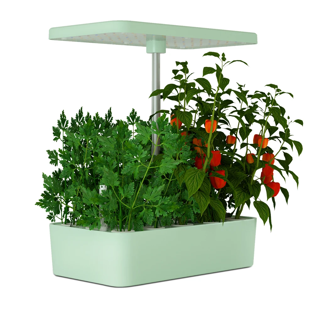 Non-toxic Soilless Hydroponic Plant for Intelligent Lazy Planting Growth Machine Indoor Garden with Led Grow Light
Non-toxic Soilless Hydroponic Plant for Intelligent Lazy Planting Growth Machine Indoor Garden with Led Grow Light