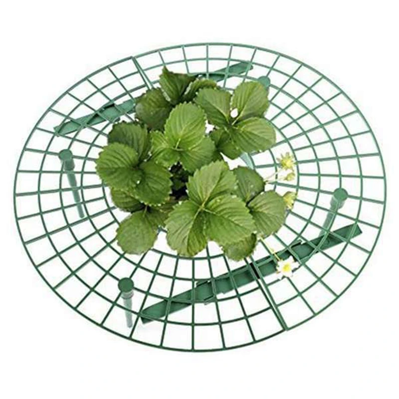10PCS Balcony Vegetable Rack Fruit Stand Strawberry Stand Plant Support Strawberry Growing Support Shelf
10PCS Balcony Vegetable Rack Fruit Stand Strawberry Stand Plant Support Strawberry Growing Support Shelf