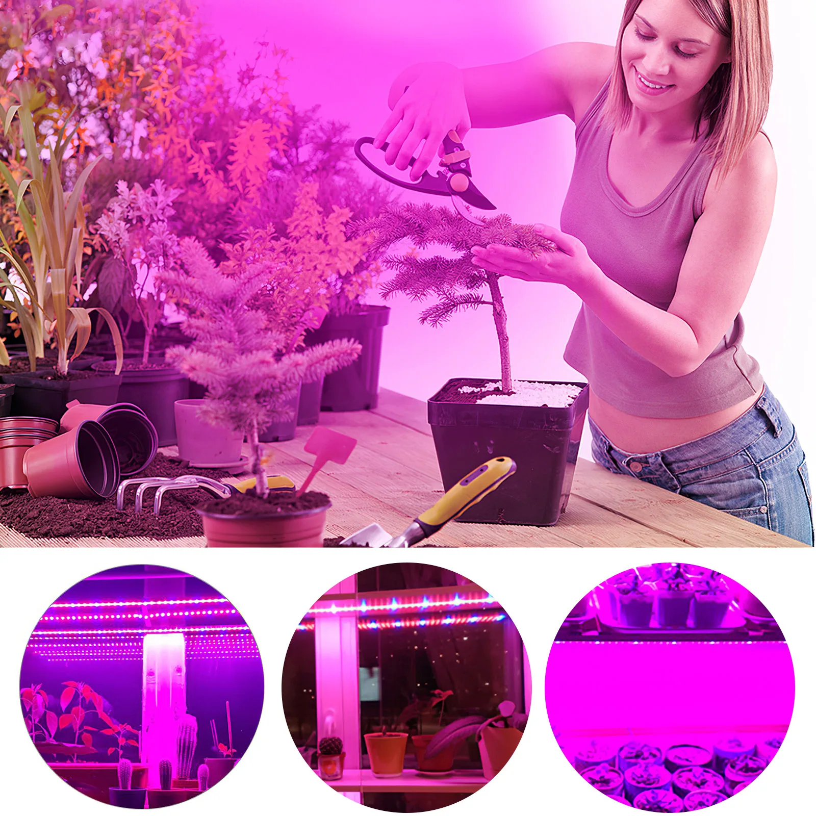 Plant Growth Light Strip Garden Indoor Full Spectrum Plant Light Bar Touch Switch Plant Light Strip USB Charging Plant Grow Lamp
Plant Growth Light Strip Garden Indoor Full Spectrum Plant Light Bar Touch Switch Plant Light Strip USB Charging Plant Grow Lamp