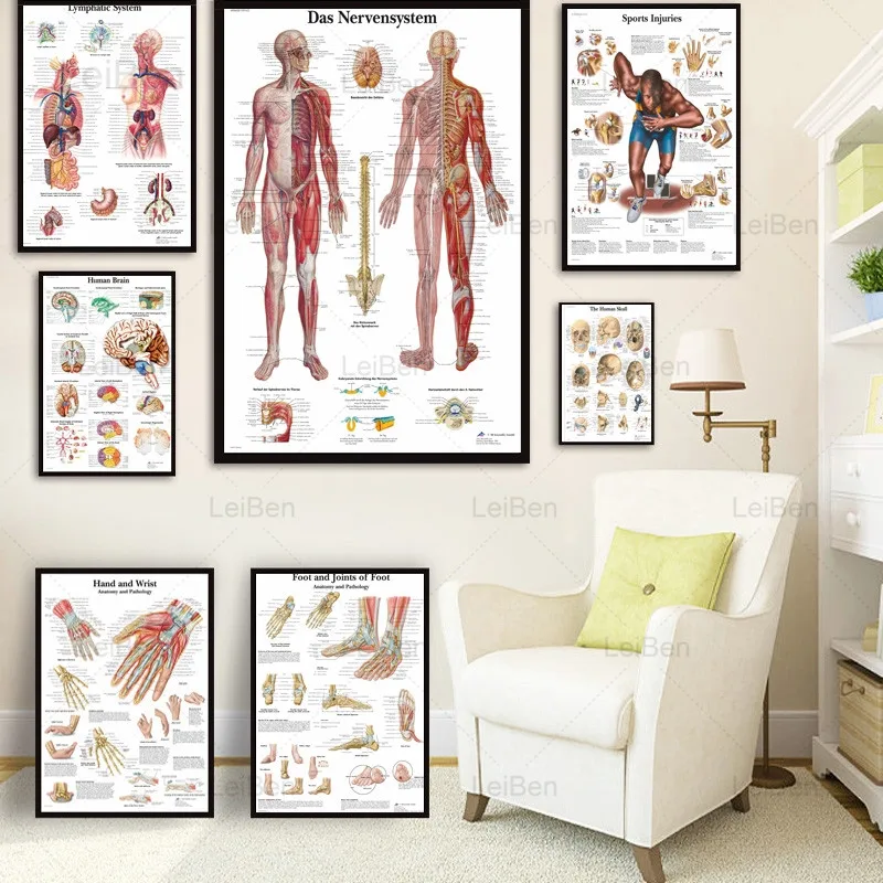 Wall Art Poster Human Anatomy Muscular System Canvas Painting Body Map Print Picture Modern Home Decor Science Medicine Bedroom
Wall Art Poster Human Anatomy Muscular System Canvas Painting Body Map Print Picture Modern Home Decor Science Medicine Bedroom