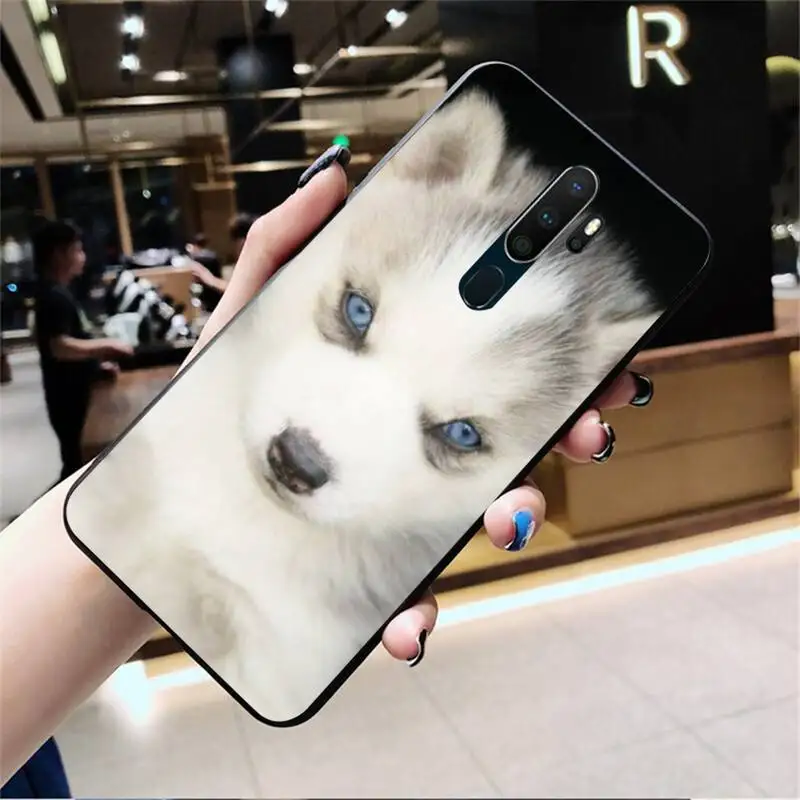 Animal Dog Husky Soft Phone Case Capa For Oppo A5 A9 2020 Reno2 z Renoace 3pro Realme5Pro | Мобильные телефоны и