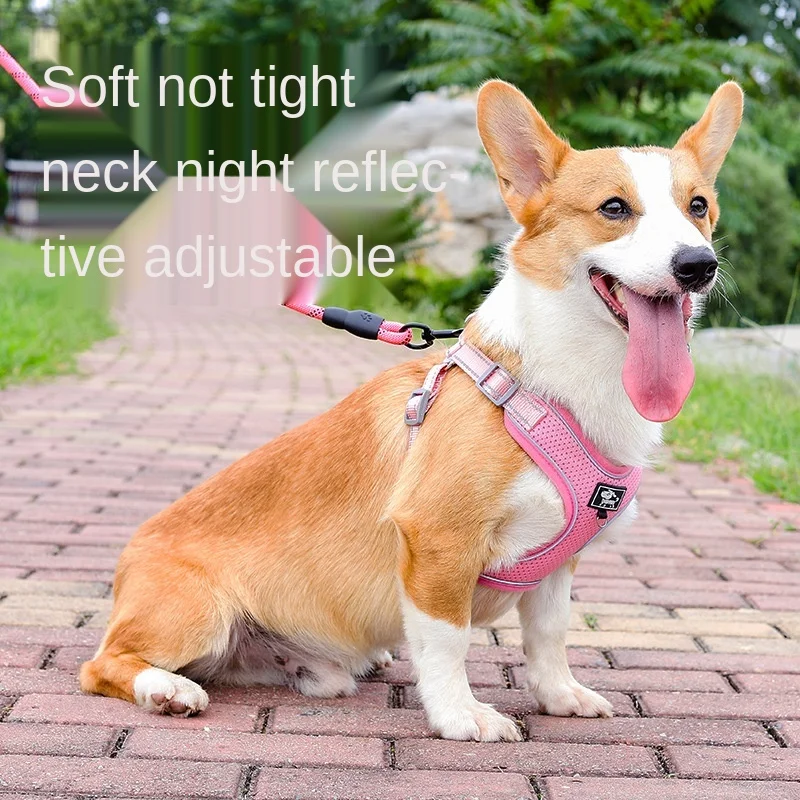 

Small and medium-sized dog corgi dog leash chest harness vest type method dou teddy dog rope dog chain pet supplies